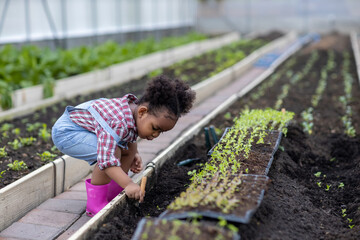 Little girl with vegetable plants farming and gardening concept. Daughter planting vegetable in home garden field use for people family