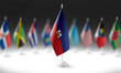 © butenkow - The national flag of the Haiti on the background of flags of other countries