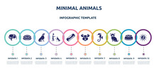 Minimal Animals Concept Infographic Design Template. Included Dog Chasing Tail, Pet Bed, Dog Seating, Man And Dog, Pet Comb, Mouse Head, Sea Horse, Cat Toy, Sea Urchin Icons And 10 Option Or Steps.