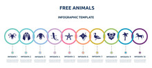 Free Animals Concept Infographic Design Template. Included Ram, Bas Hound Dog Head, Female Sheep Head, Curved Lizard, Starfish With Dots, Stingray With Long Tail, Wild Duck, Funny Dog Head, Horse
