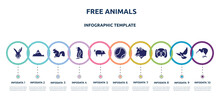 Free Animals Concept Infographic Design Template. Included Kangaroo Head, Angular Mountain, Sitting Squirrell, Sitting Penguin, Pig With Round Tail, Tennis Ball, Wolf Head, Dog With Chubby Cheeks,