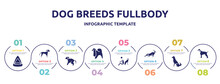 Dog Breeds Fullbody Concept Infographic Design Template. Included Cat Playhouse, Springer Spaniel, Scold The Dog, Japanese Chin, Dog And Man Seating, Dogs Playing, Akitas, Afghan Hound Icons And 8