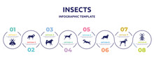 Insects Concept Infographic Design Template. Included Hoverfly, St Bernard, Malamute, Kurzhaar, Dog Scaping, Bernese Mountain, Chinese Crested, Golden Ground Beetle Icons And 8 Option Or Steps.