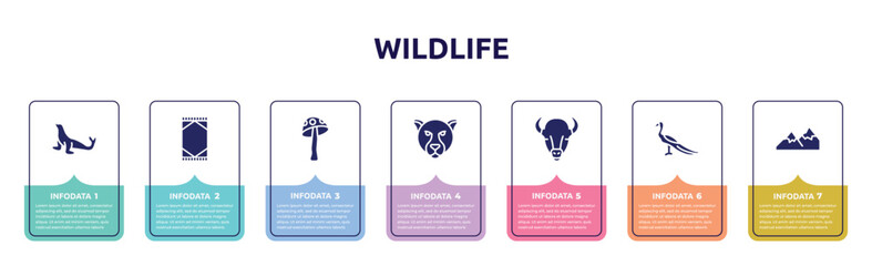 wildlife concept infographic design template. included sea lion, rug, amanita, jaguar, bison, peacock, mountains icons and 7 option or steps.