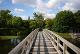 Fototapeta Sypialnia - 木の橋の果て