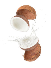 Wall Mural - Coconut water splash from brown coco nut flying in the air isolated on white background.