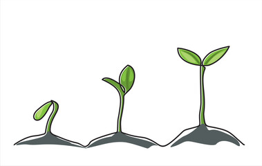 continuous one line drawing of step of grow plant. vector illustration