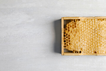 Wall Mural - Honeycomb frame on white table, top view with space for text. Beekeeping tool