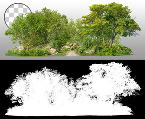 Wall Mural - coniferous forest pathway. cutout trees isolated on transparent background via an alpha channel. for