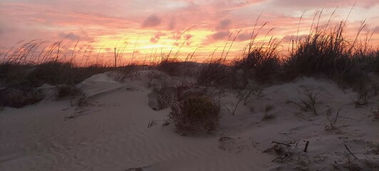 Sunset Freeport , TX