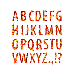 Wall Mural - Vector burning alphabet. Letters with flaming fire