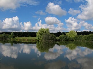 Poster - Reflet des nuages sur un étang.