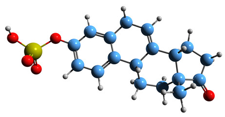 Wall Mural -  3D image of Equilin sulfate skeletal formula - molecular chemical structure of estrogen sex hormone isolated on white background
