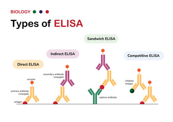 Molecular Biology diagram present type of the enzyme-linked immunosorbent assay or ELISA