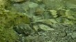 Frisches klares Wasser sprudelt über Steine eines sehr schönen Bergbachs (mit Wassersounds)
