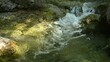 Frisches klares Wasser eines Bergbachs sprudelt in eine Gumpe (mit Wassersounds)