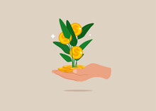 Businessman Investor Hand Holding Money Flower Plant From Pile Of Coins. Investment Growth, Prosperity Or Earn More Money From Savings, Mutual Funds Or Opportunity To Make Profit And Increase Wealth.