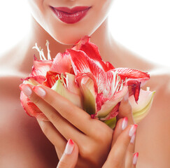 Wall Mural - beauty delicate hands with pink Ombre design manicure holding red flower amaryllis close up isolated warm macro