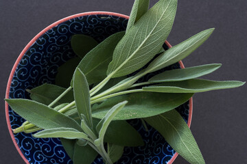 Wall Mural - sage and bowl