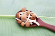 Yanagi Matsutake mushroom on green leaf