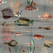 Aquarium Fish Pattern Wallpaper Grey Vintage Painting