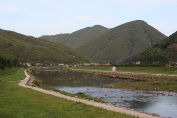 Wall Mural - landscape with river