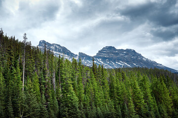 Wall Mural - Beautiful mountain landscape of Canadian Rockies. Icefield Parkway. Banff National Park. Alberta. Canada