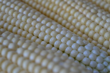 Wall Mural - Cobs and kernels of fresh young corn