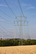 © Westlight - Farmland with power poles and wind turbines during summer in Hessen, Germany. Blue sky and Forest in the background.