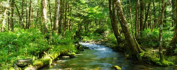  Nature Background Very Cool