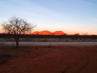 Poster - Intensity and typical colours of African sunset illuminating distant hills and back-lighting foreground and acacia trees.