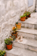 Women's Beige Sandals On The Steps With Flowers In Flower Pots Against A Stone Wall With Shallow Depth Of Field.