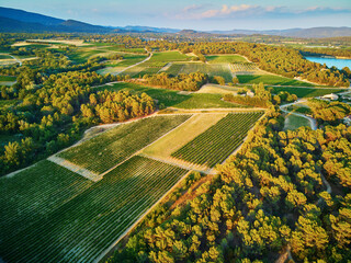 Canvas Print - Aerial Mediterranean landscape with cypresses, olive trees and vineyards in Provence, Southern France