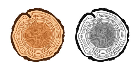 Round tree trunk cuts in various colors, sawn pine or oak slices, lumber. Saw cut timber, wood. Brown wooden texture with tree rings. Hand drawn sketch. Vector illustration