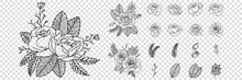 Set Of Floral Elements Roses Line Art Hand Drawn. Vector Editable