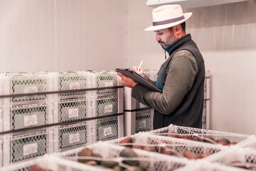 worker with a tablet writing in a hass avocado refrigerator or warehouse