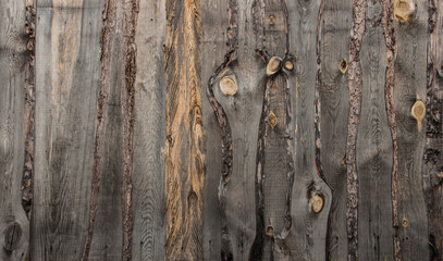 Wall Mural - Old wood background with nail in black