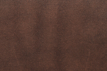 Wall Mural - Brown color skin surface