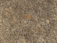 Concrete With Tiny Pebbles And Rust Stains