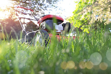 Idle lawnmower letting grass grow, concept of preservation and creating habitat for pollinators such as insects and bees