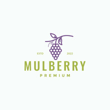 Fresh Vintage Fruit Mulberry Logo Design