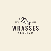 Wrasses Fish Vintage Logo Design