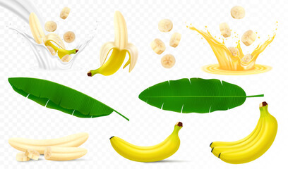 Wall Mural - set of banana fruits, bunch of bananas, peel, peeled banana, slices and halves, leaves from a banana
