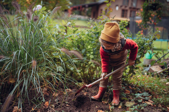 Litlle girl taking care of vegetable garden, spading soil.