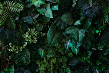 Aufkleber - Full Frame of Green Leaves Pattern Background, Nature Lush Foliage Leaf Texture, tropical leaf