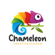 Chameleon mascot logo design vector illustration
