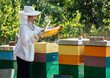 Beekeeper woman working in apiary