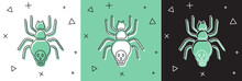 Set Poisonous Spider Icon Isolated On White And Green, Black Background. Happy Halloween Party. Vector