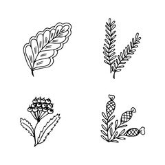  set of hand drawn doodle plant elements for floral design concept