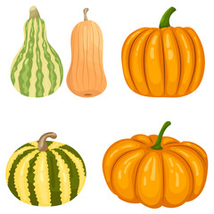 Wall Mural - pumpkins set in flat style, isolated, vector
